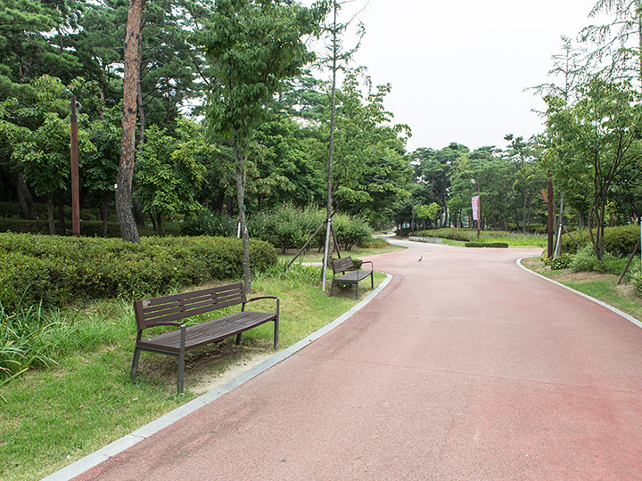 奨忠壇公園｜乙支路・忠武路・南山(ソウル)の観光スポット｜韓国旅行「コネスト」