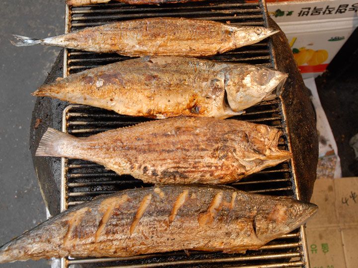 羅州食堂 東大門焼き魚横丁 東大門 ソウル のグルメ レストラン 韓国旅行 コネスト