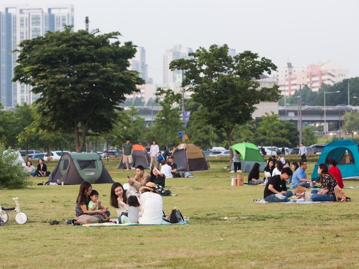 韓国の父母の日 オボイナル 歳時 記念日 韓国文化と生活 韓国旅行 コネスト