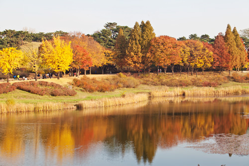 オリンピック公園 蚕室 ロッテワールド ソウル の観光スポット 韓国旅行 コネスト