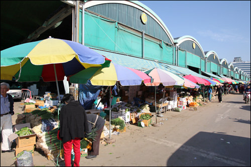 可楽洞農水産物総合卸売市場｜蚕室(ロッテワールド)(ソウル)のショッピング店｜韓国旅行「コネスト」