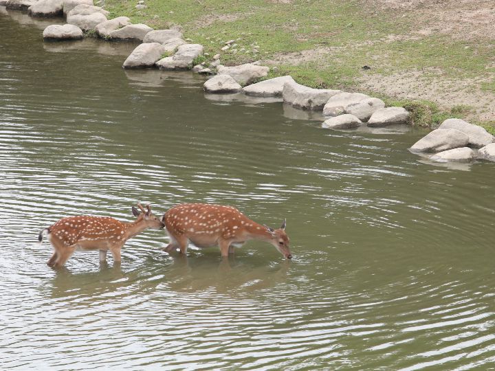 ソウルの森｜聖水洞・ソウルの森(ソウル)の観光スポット｜韓国旅行「コネスト」