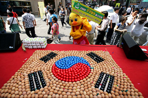 韓国の国旗 太極旗 社会全般 韓国文化と生活 韓国旅行 コネスト