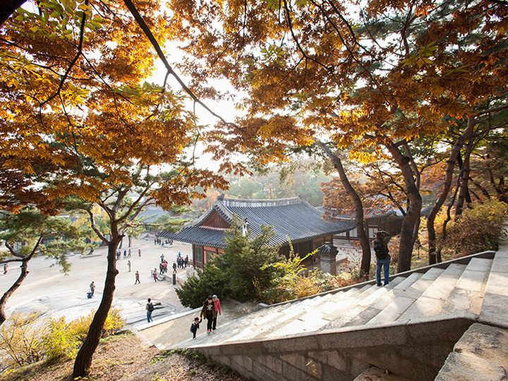 ソウル紅葉スポットガイド 季節 シーズン 特集 韓国旅行 コネスト