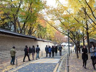 가을 カウル 秋 Today S韓国語 韓国旅行 コネスト