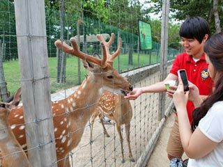 자연 체험 チャヨン チェホム 自然体験 Today S韓国語 韓国旅行 コネスト