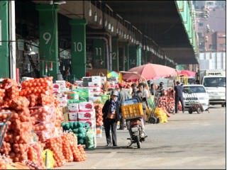 可楽洞農水産物総合卸売市場｜蚕室(ロッテワールド)(ソウル)の