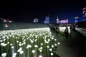 Ddp Ledバラ庭園 韓国旅行 コネスト